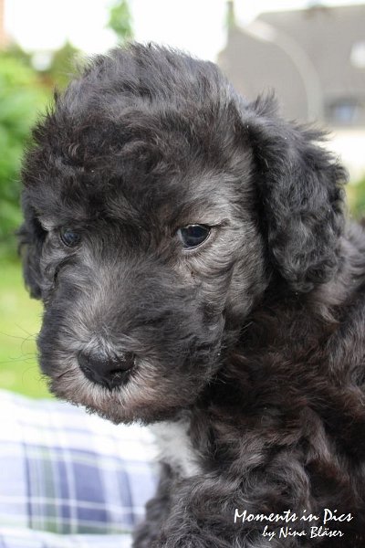 Arc-en-ciel Antares 2009-06-17 (46).JPG